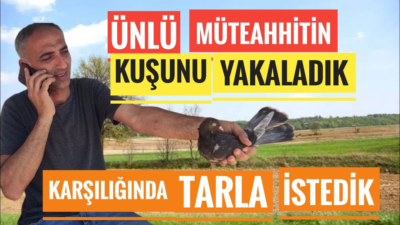 Ünlü müteahhitin kuşunu yakaladık karşılığında tarla istedik