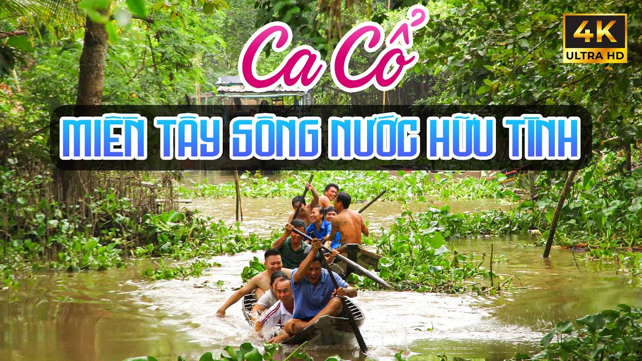 Ca Cổ Miền Tây Sông Nước Hữu Tình Thư Giãn - Ca Cổ Cải Lương Hơi Dài Ru Ngủ Hay Nhất🌾Tân Cổ Dân Ca