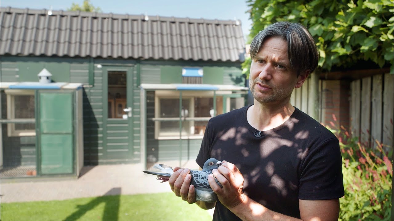 PigeonPixels 7：Will & Falco Ebben，Leeuwen NL（subtitles click on c)