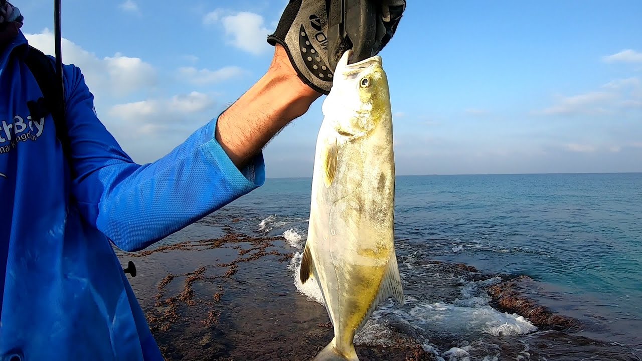 בן גוריון, אריען, פלמידה קטנה ועוד. diamond trevally, leerfish small kingfish and more