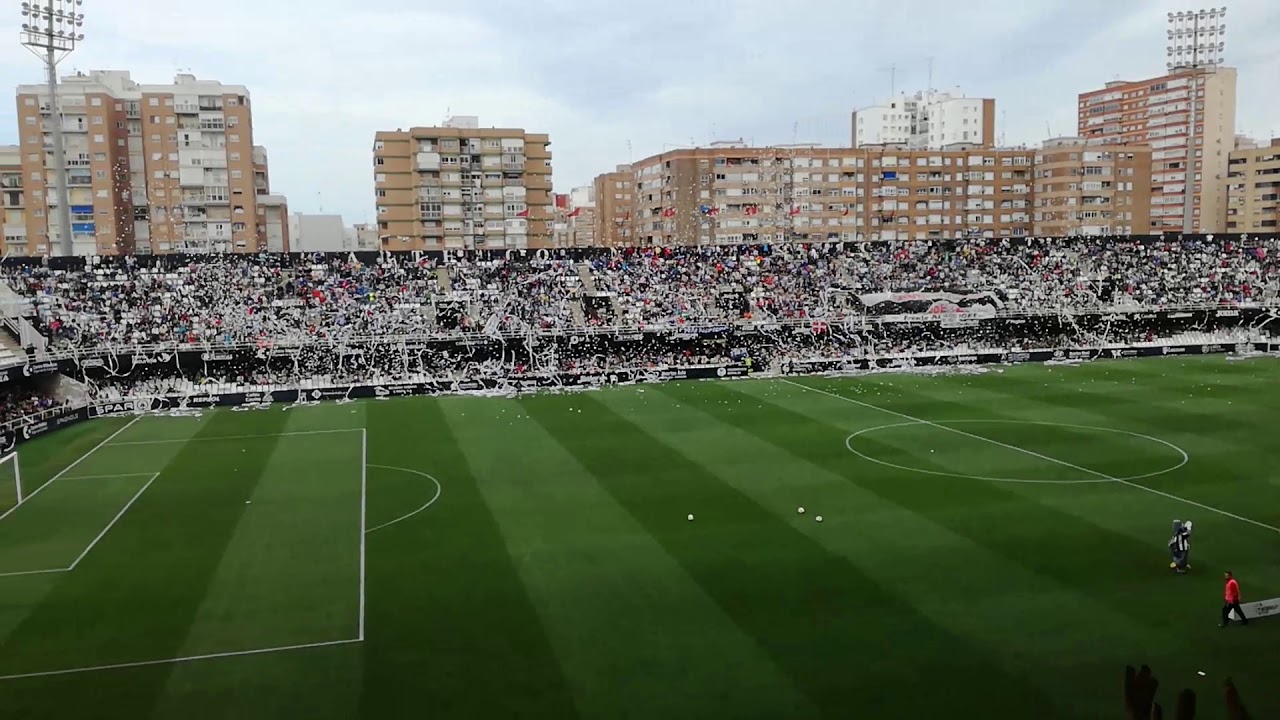 Cartagonova