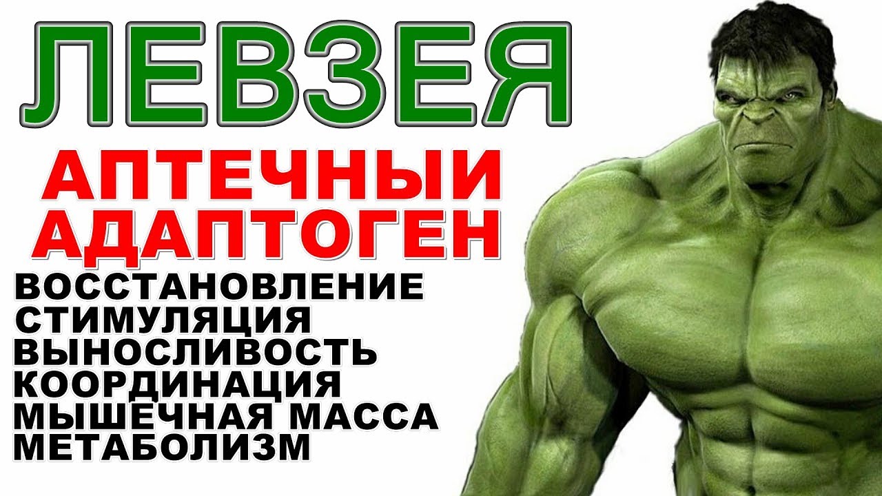 Левзея (Maral Root) ПОЛЬЗА ВРЕД СОВЕТЫ (Russian Leuzea)Side Effects Interactions Dosage