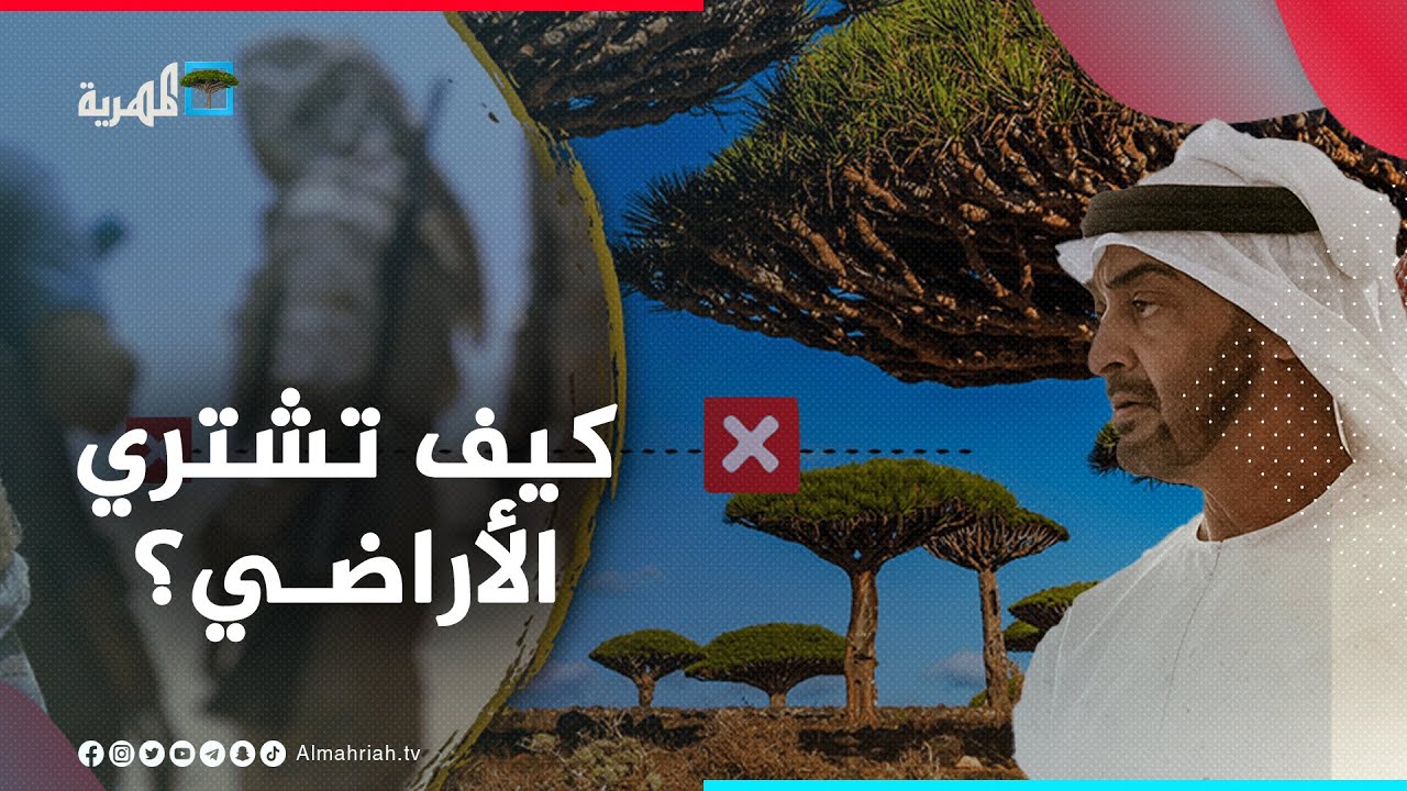 شراء الأراضي في سقطرى - وسيلة إماراتية للاستحواذ والسيطرة على الأرخبيل
