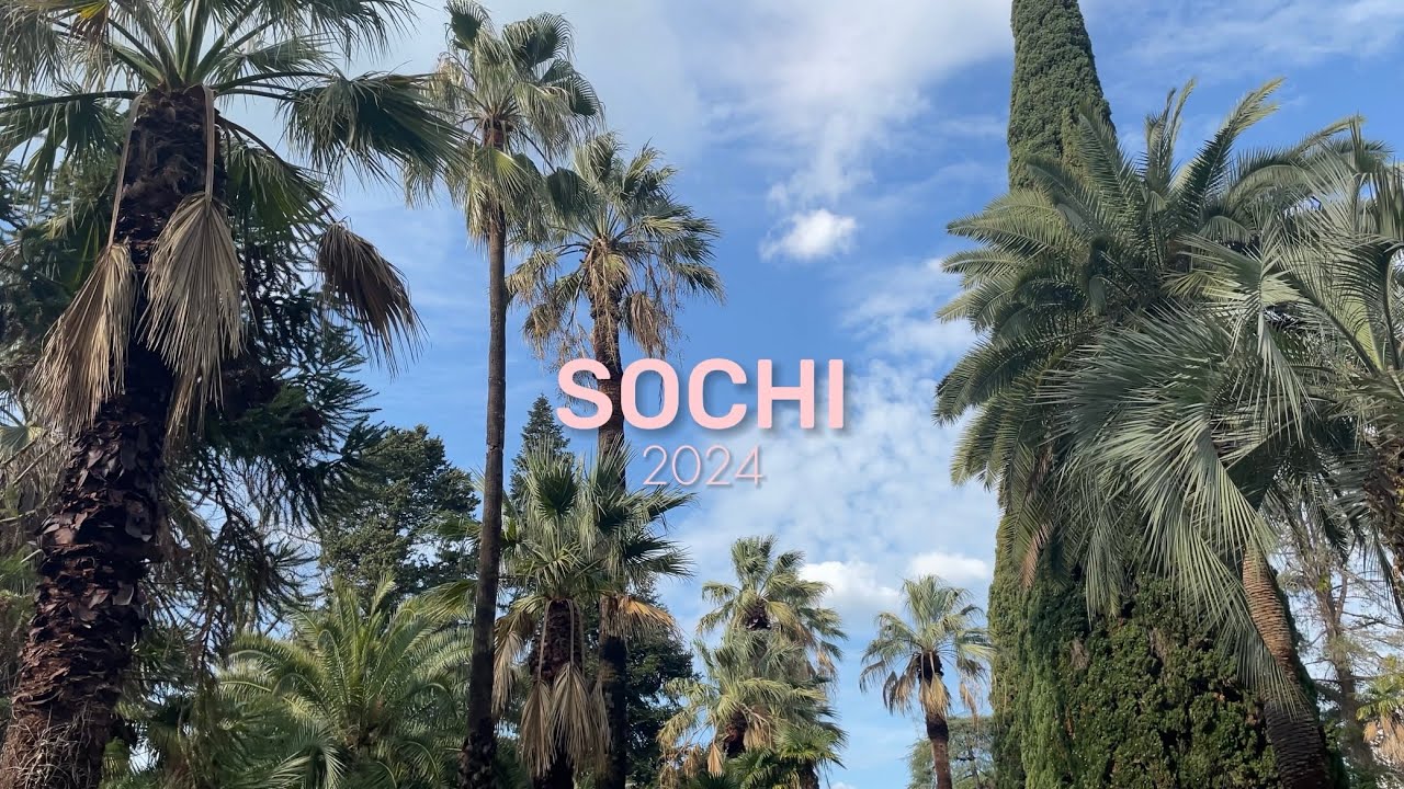 VLOG 5: СКОЛЬКО СТОИТ СЛЕТАТЬ В СОЧИ ЗИМОЙ