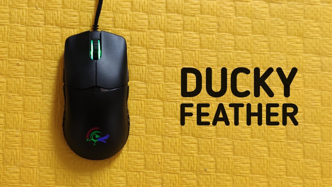 Обзор Ducky Feather. Мышь и восточная медицина