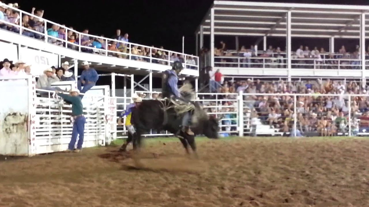 Bradley Harris 2013 Pretty Prairie Bullmania