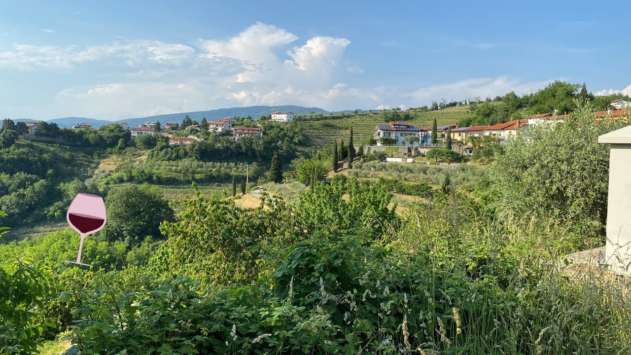 Exploring Slovenian Tuscany / Goriška Brda