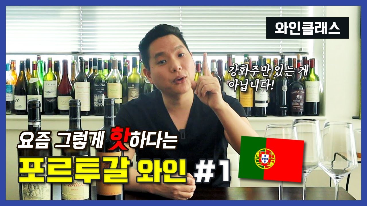 [와미남 와인 클래스] 요즘 핫한 포르투갈 와인 Part 1. 포트/마데이라를 넘어 뜨고 있는 포르투갈 세 개 지역 & 와인 정리 (Douro / Dão / Alentejo)