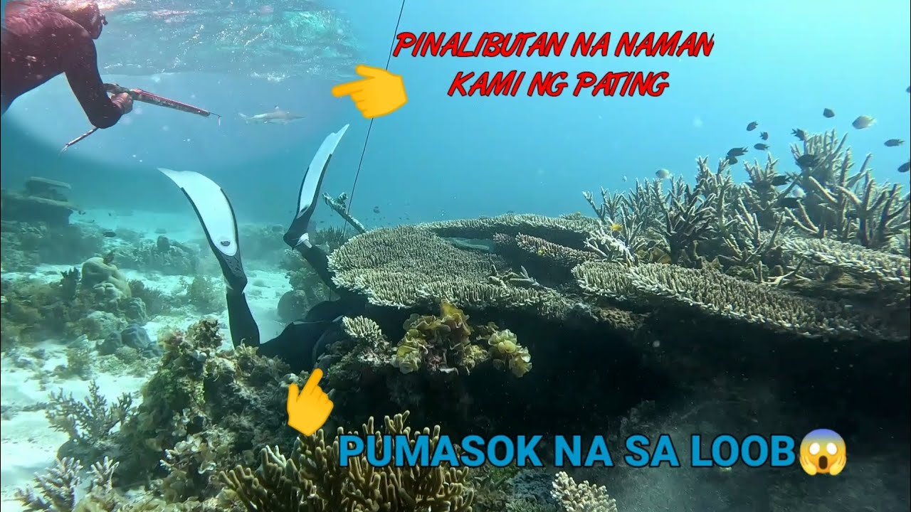 Ang paboritong isda😋 Ganito kahirap bago mo makuha | CATCH AND COOK