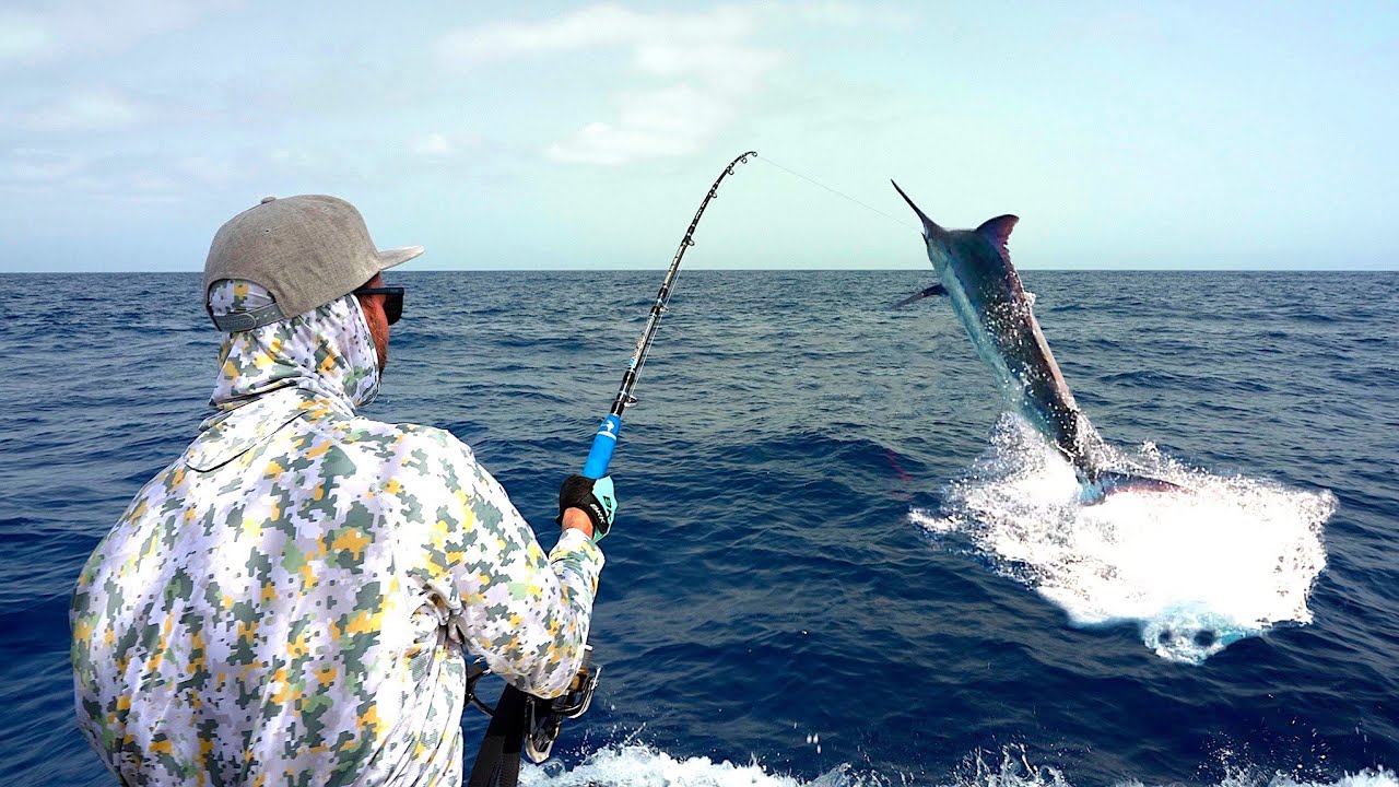 La RIVINCITA del MARLIN - Blue Marlin on SPINNING Rod