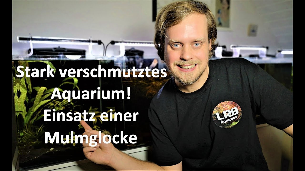 Stark verschmutztes Aquarium! Einsatz einer Mulmglocke
