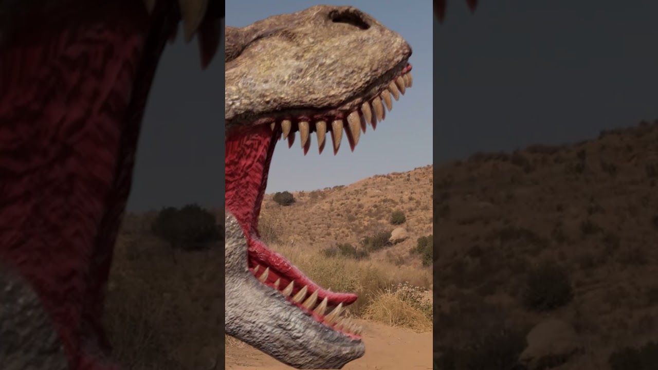 How Does the Dino Remote Do It?! | T-Rex Ranch Dinosaur Videos for Kids