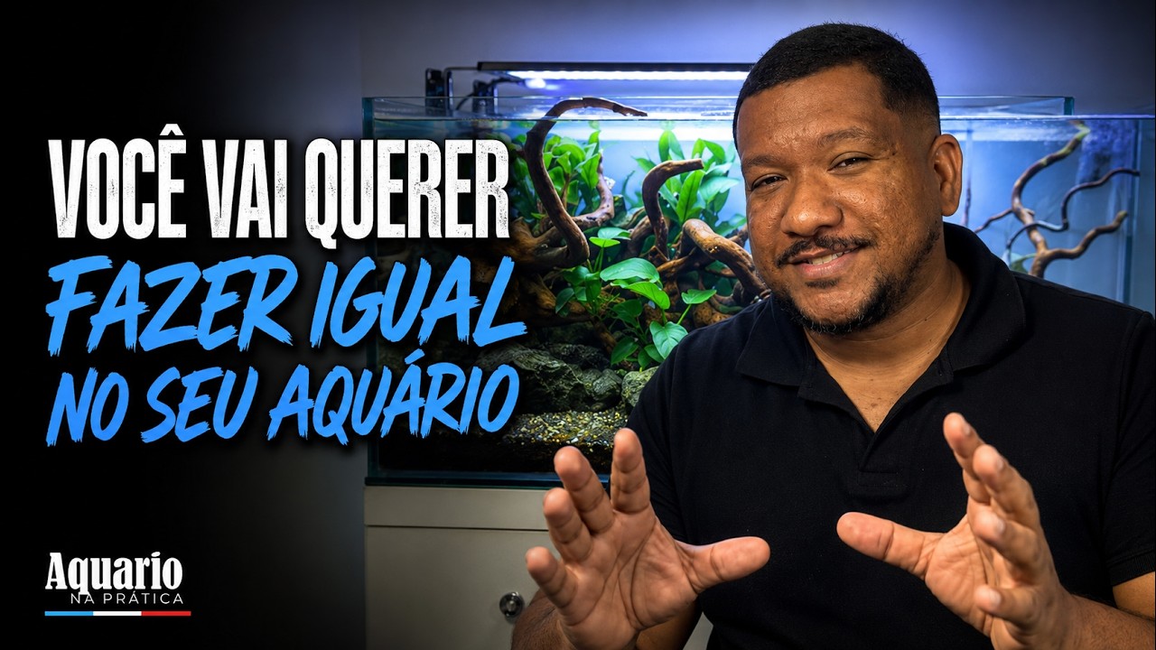 Vale a Pena Remontar o Aquário ou Montar Um Novo?