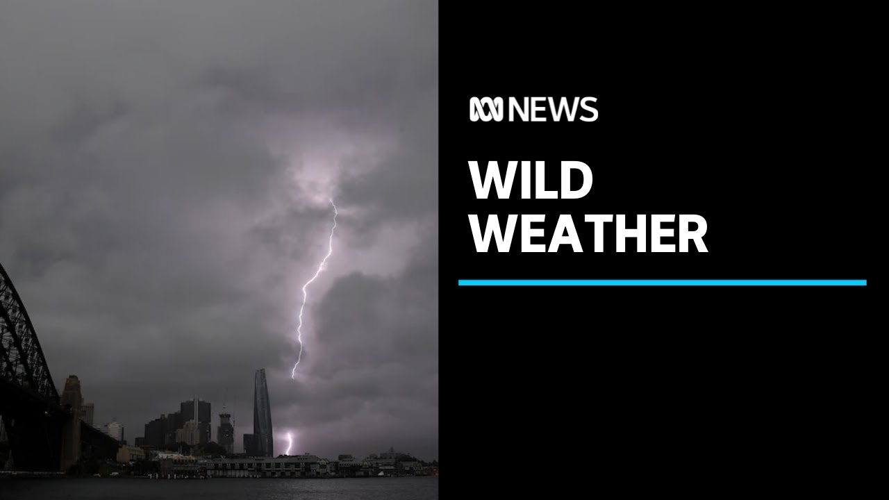 BOM forecasts more wild weather after tornado rips through NSW's northern tablelands | ABC News