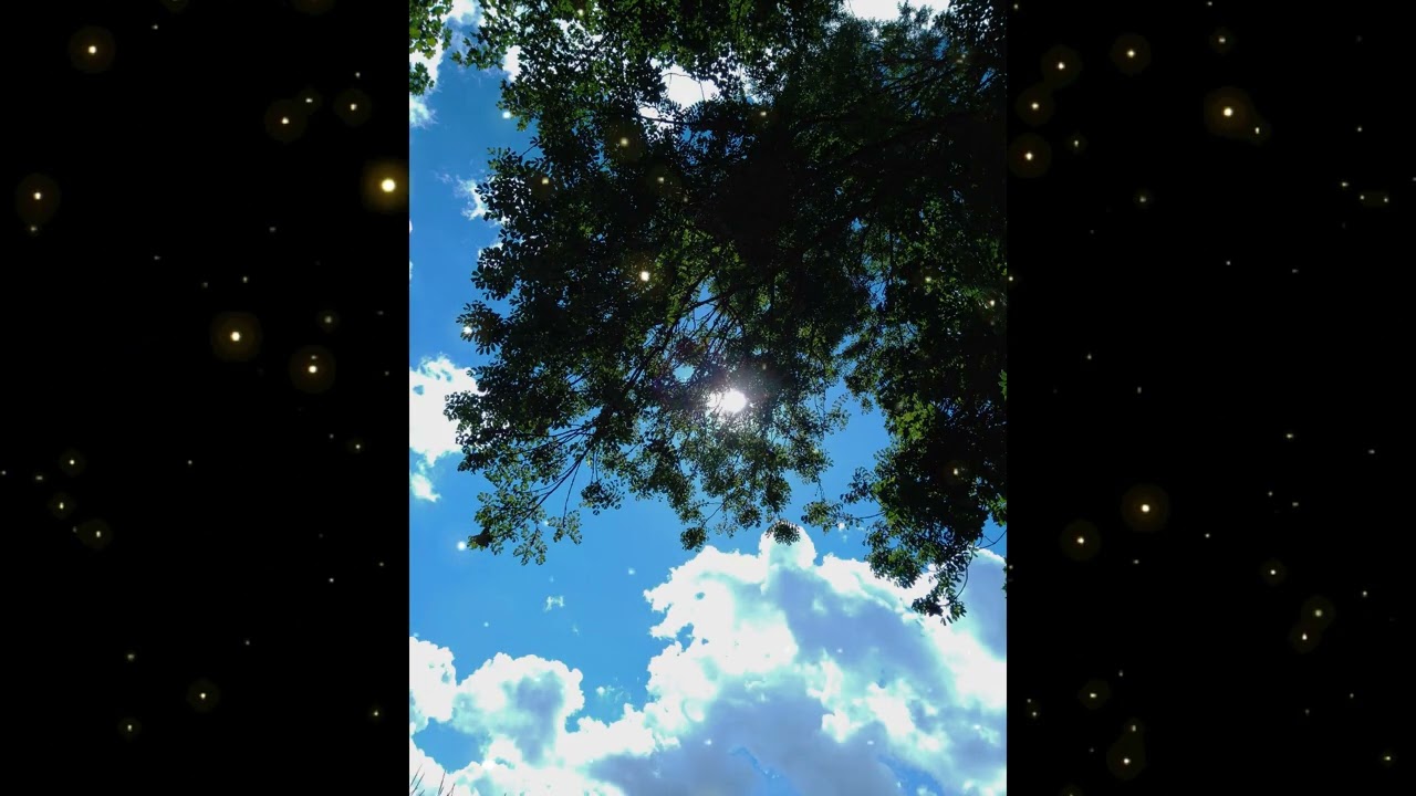 MAGICAL ASMR SUMMER SKIES - Calming Birdsong & Crickets for perfect Relaxation & Stress relief