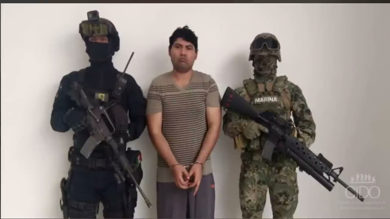 Facciones del Cartel del Golfo