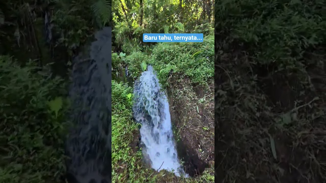 Ternyata sumber air Bogowonto tempat bersemadi Presiden RI Pertama, ada di ciruk mangku Wonosobo