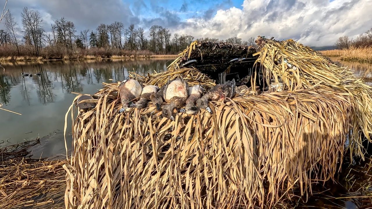 7 Days Solo Duck Hunting in my Custom Boat Blind