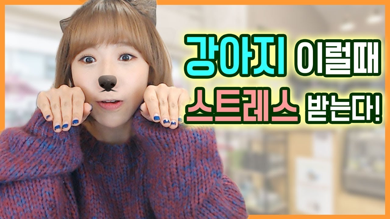 [강아지 초보생활] 짜증내는 강아지 이유가 다 있어요ㅠㅠ 스트레스 받을때👿ㅣ디바제니