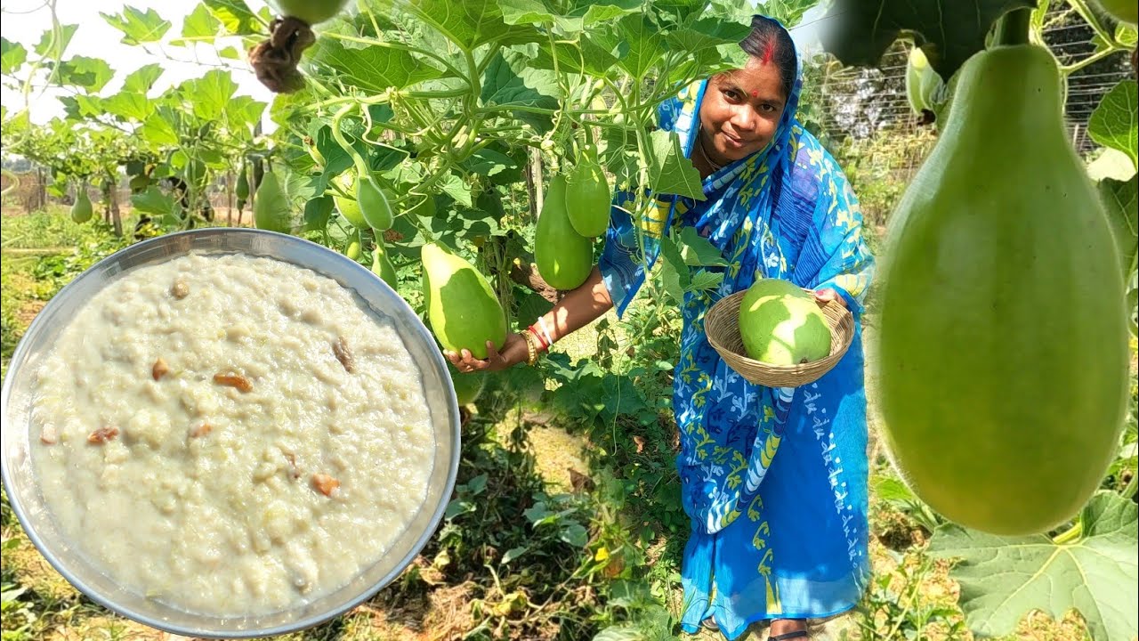 এইভাবে কচি লাউয়ের লাউ বাদশা পায়েস খেতে দুর্দান্ত স্বাদের হয় | Lau Payesh Recipe 