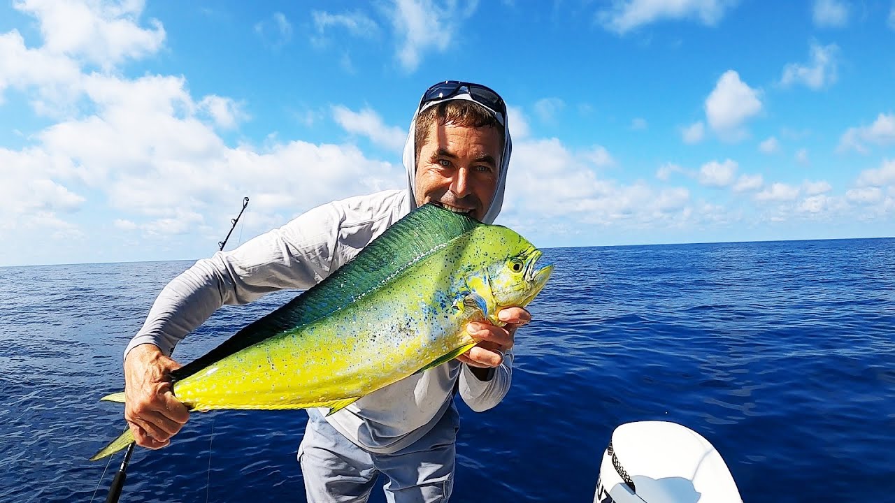 Shallow Water MAHI And Lots Of Big GROUPER!