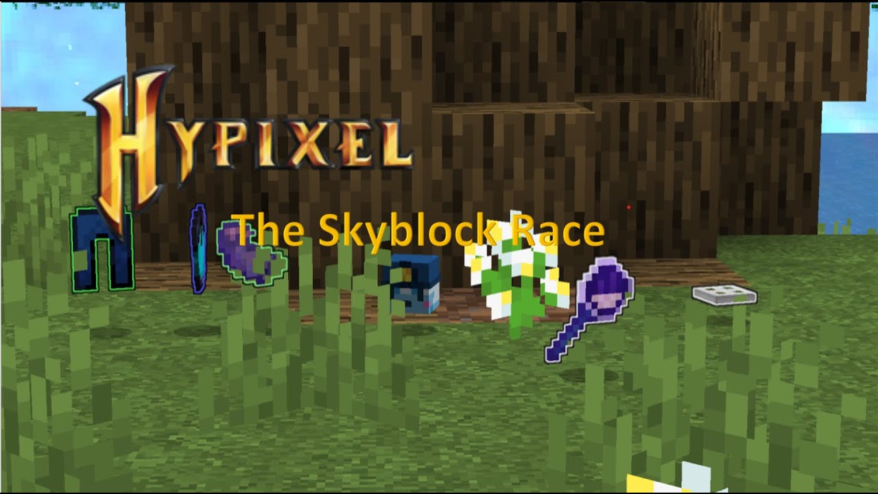 The Skyblock Race