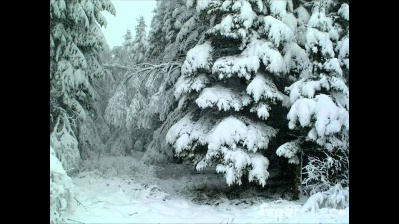Alisa Jones, Ron Wall & Mark Howard - Simple Tune [HD]