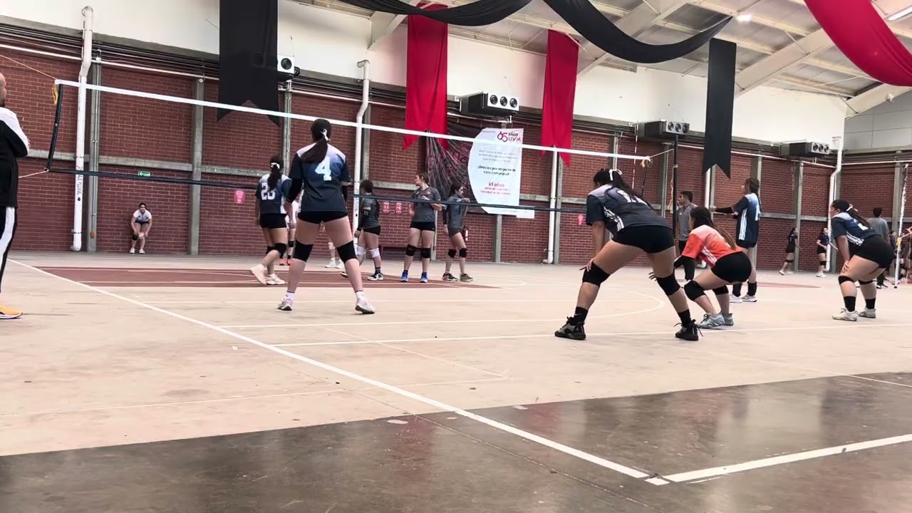 Bachi 10- linces 