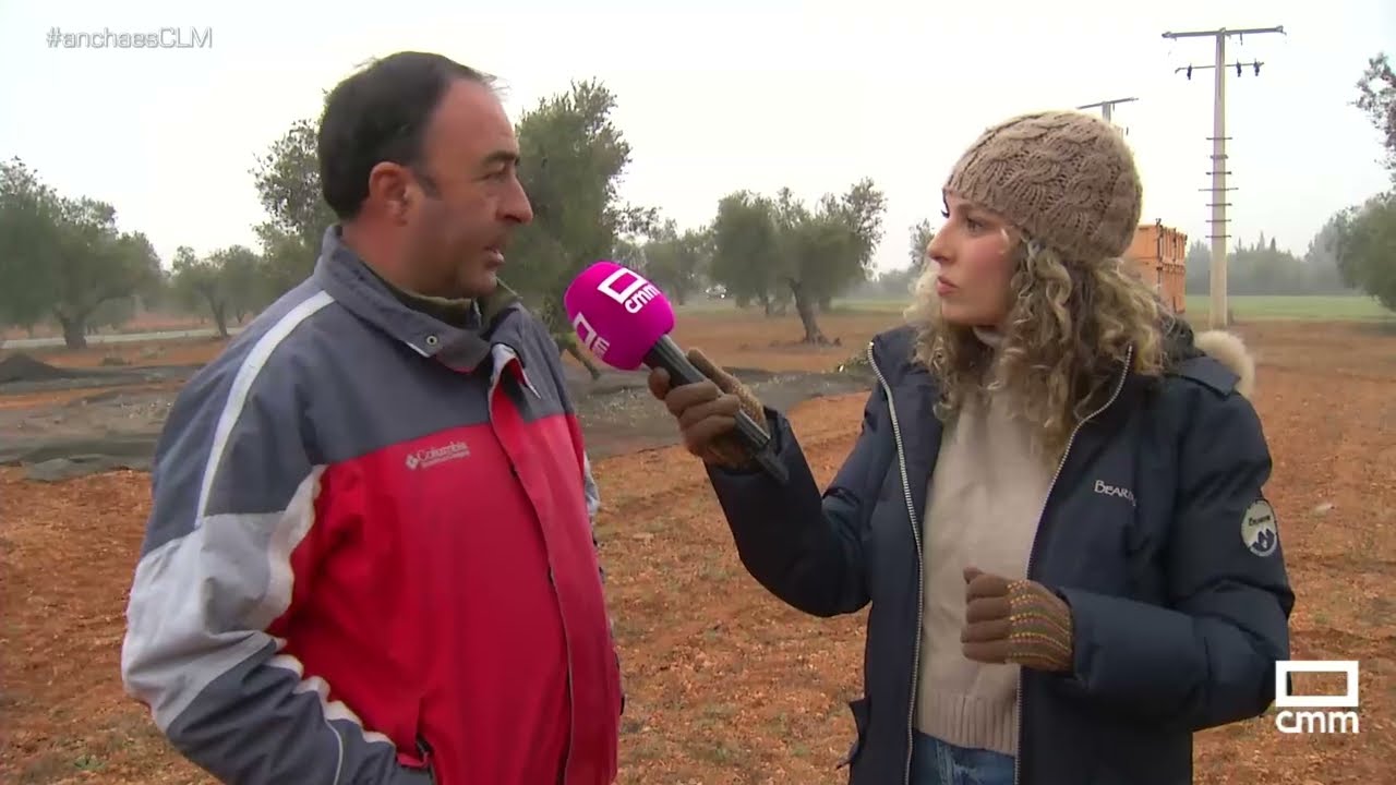 La Guardia Civil vigila el olivar en la campaña de aceituna