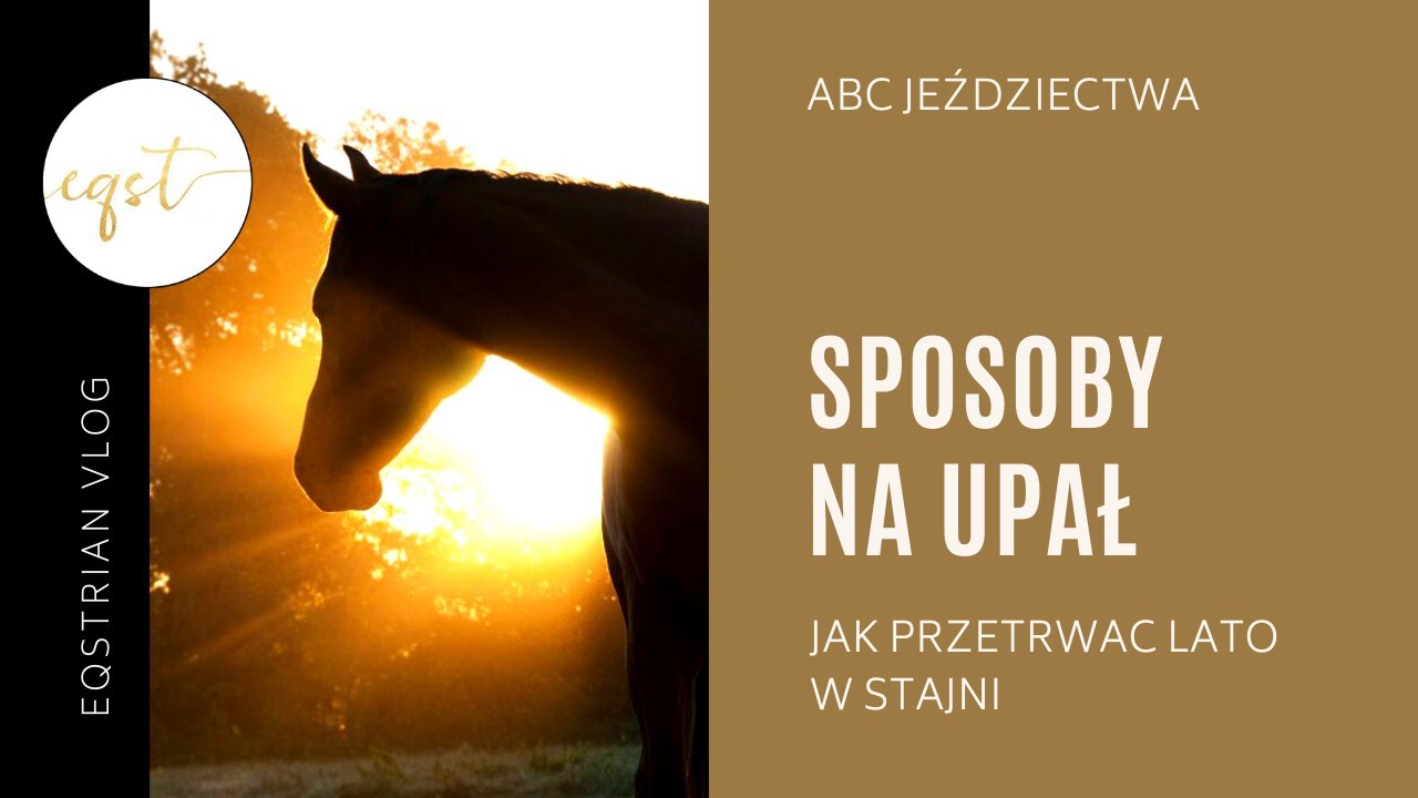 SPOSOBY NA UPAŁ W STAJNI | abc jeździectwa