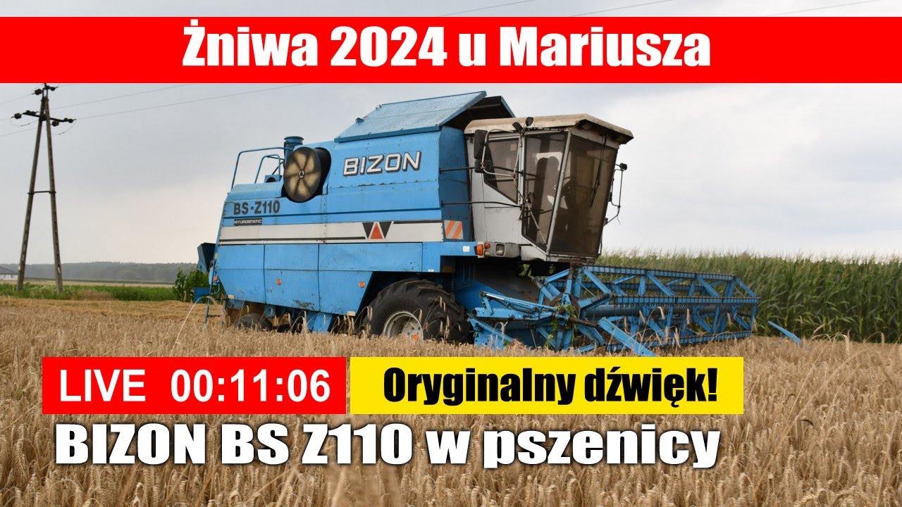 Bizon BS Z110 - żniwa 2024 u Mariusza – LIVE z oryginalnym dźwiękiem!