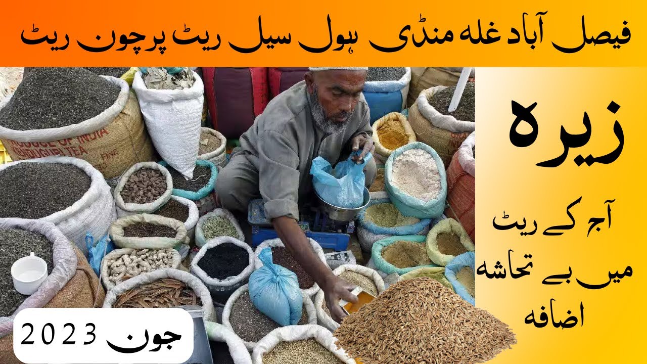 jeera price today | jeera price per kg | जीरा का होलसेल Cumin Seeds |Zeera KA WHOLESALE  update 2023