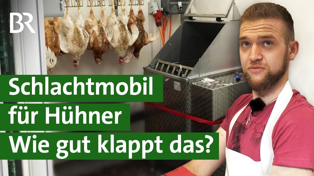 Tierschutz: H&uuml;hner schlachten mit mobiler Gefl&uuml;gelschlachtung | Unser Land | BR