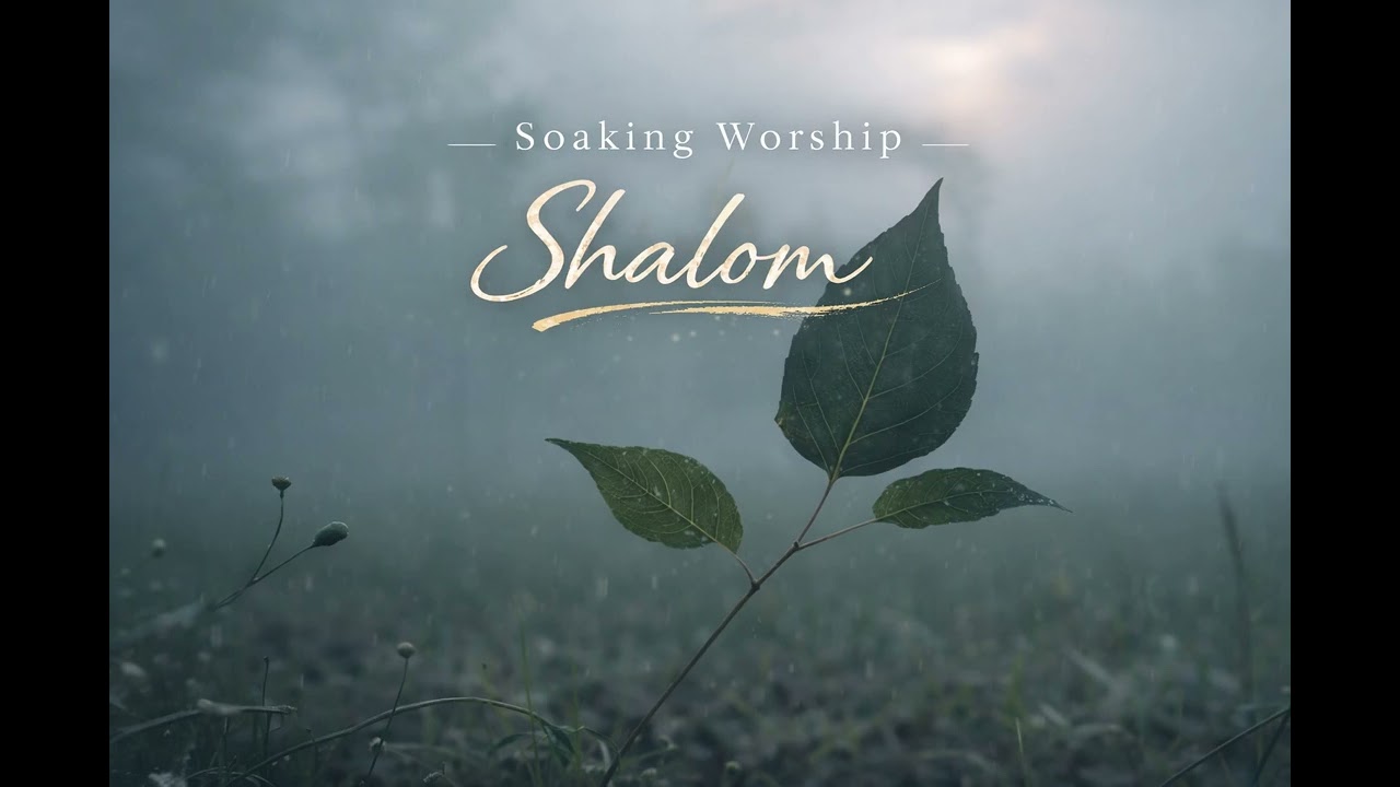 2 Hours - Shalom - Soaking Worship Instrumental - Prayer and Devotional