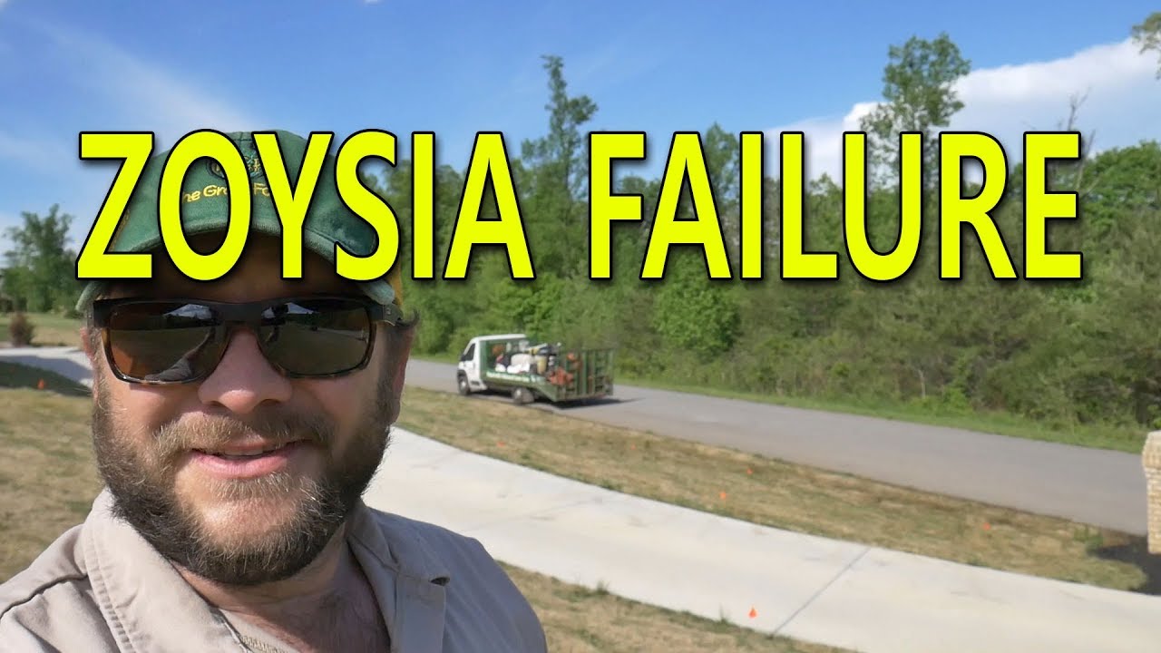 Sometimes Nature Wins the Battle- ZOYSIA FAILURE