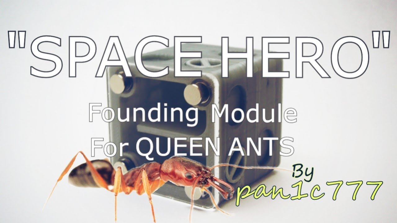 3D Printed Founding Chamber | Queen Ants Modular Formicarium