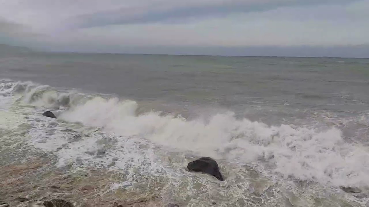 17 فبراير 2026