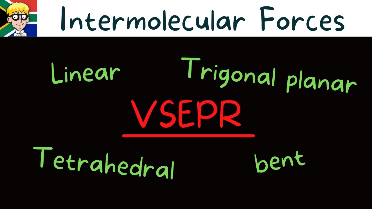 Intermolecular Forces grade 11: VSEPR # 1
