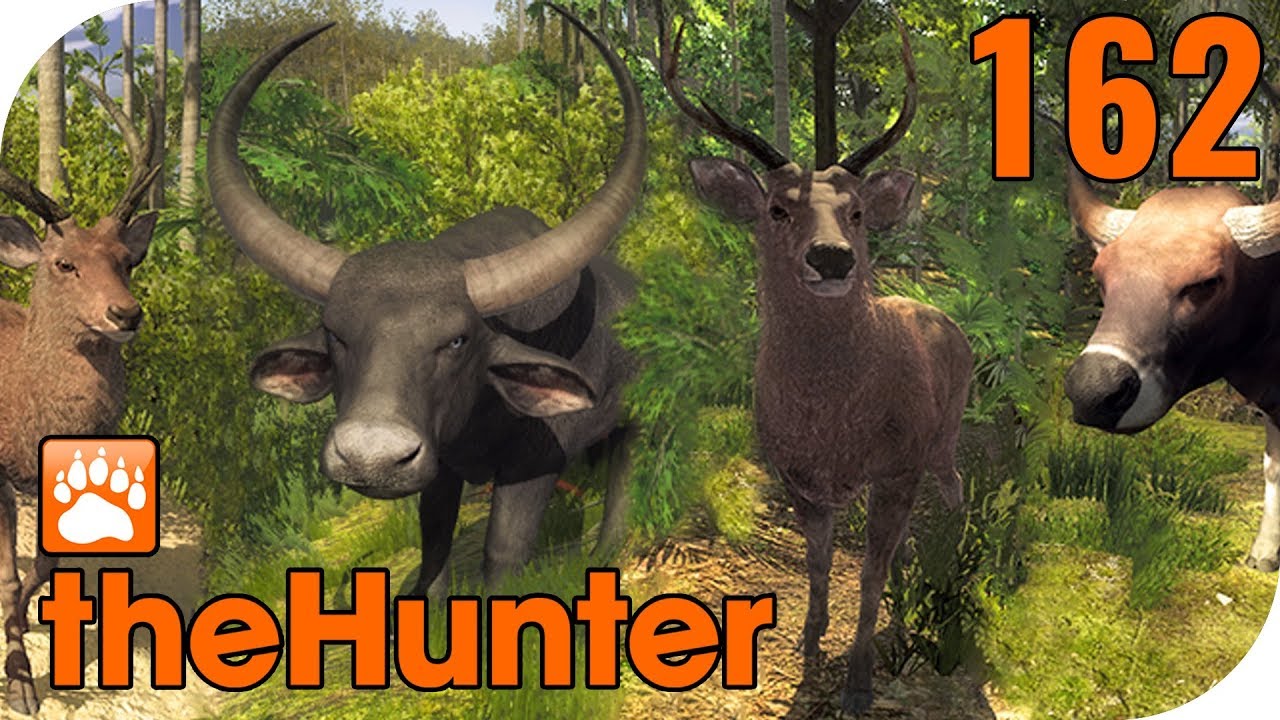 THE HUNTER CLASSIC #162 - PICCABEEN BAY! 🐗 || Let's Play The Hunter || German
