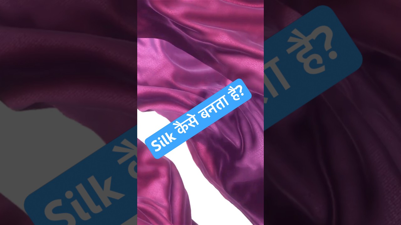 Silkworm से रेशम कैसे बनता है? 😲 (4 Stages)|Sciencecorner 