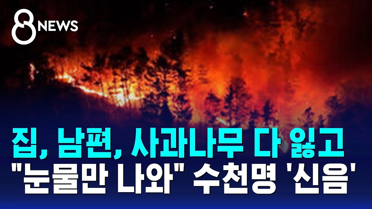 집, 남편, 사과나무 다 잃고…