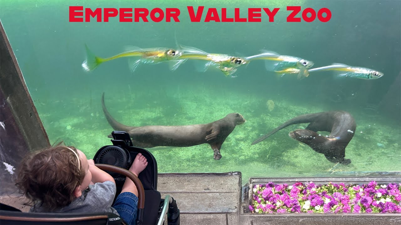 TRINIDAD'S EMPEROR VALLEY ZOO - visiting with our baby boy