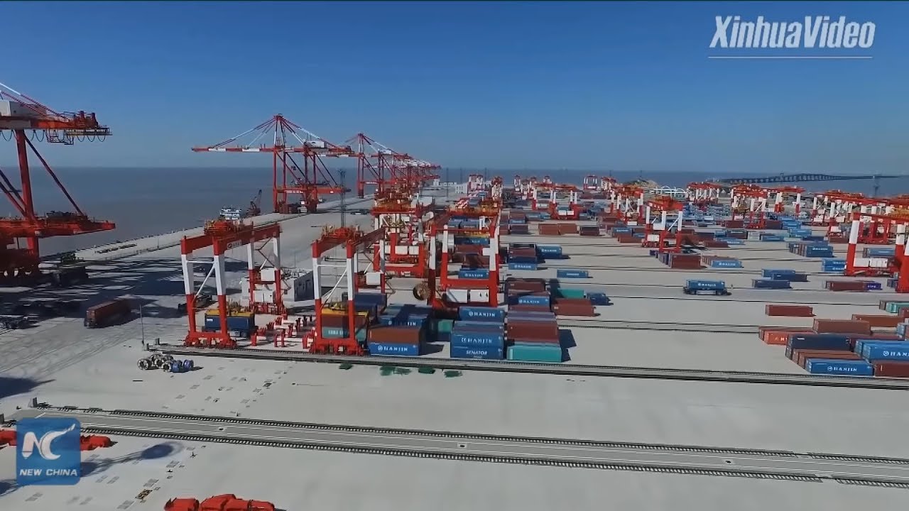 Exploring world's biggest automated container terminal in Shanghai