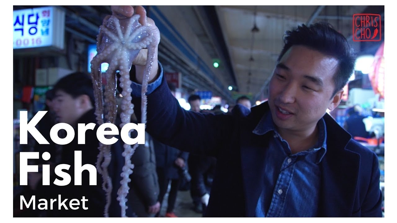 Korea Travel Vlog | Noryangjin Fish Market - Episode 1
