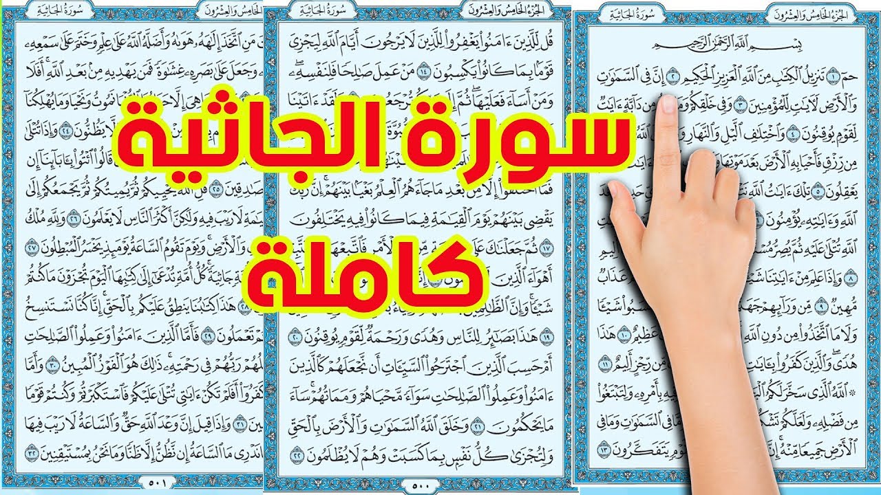 سورة الجاثية كاملة | The Noble Quran