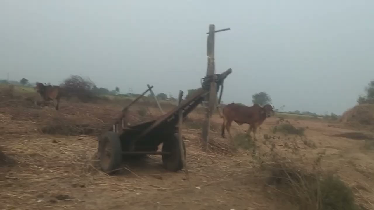🚜મીની અને 🚜 મોટુ  2એક હારે 