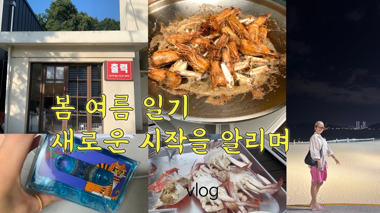 새로운시작 출력소 사무실 오픈/국립 중앙 박물관 이렇게 핫해? 호랑이까치 굿즈 득템 / 늦여름 가평 조무락계곡 물놀이와 먹방 / 그밖에 이모저모 🌝