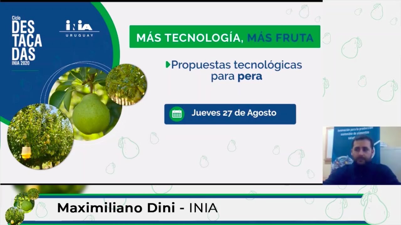 Jornada Propuestas tecnológicas para pera - Maximiliano Dini