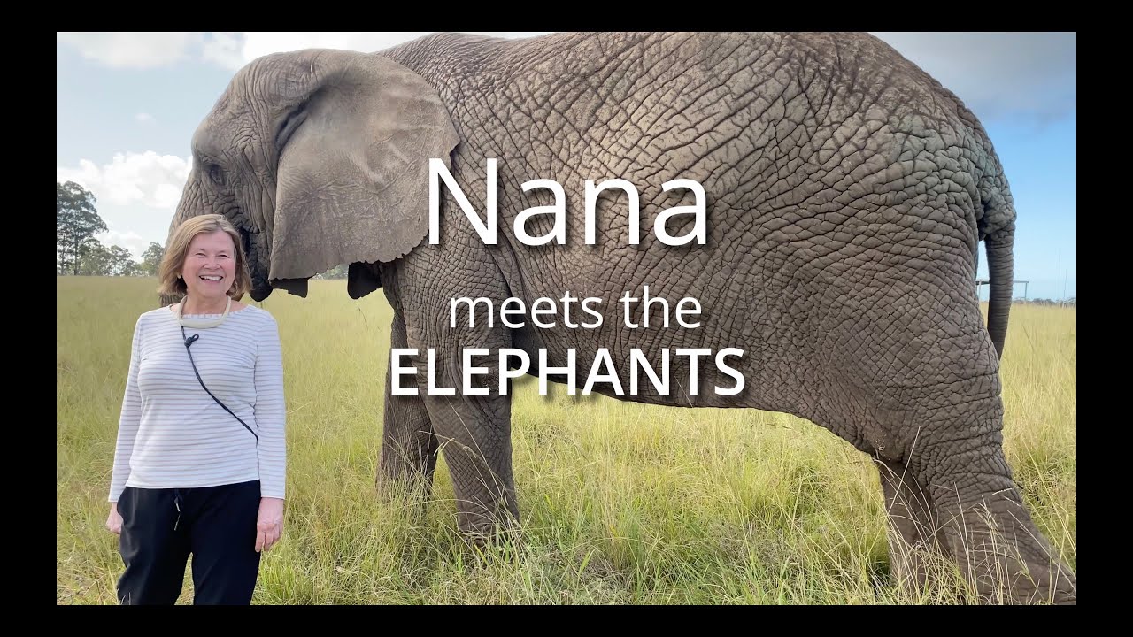 Nana meets the Elephants