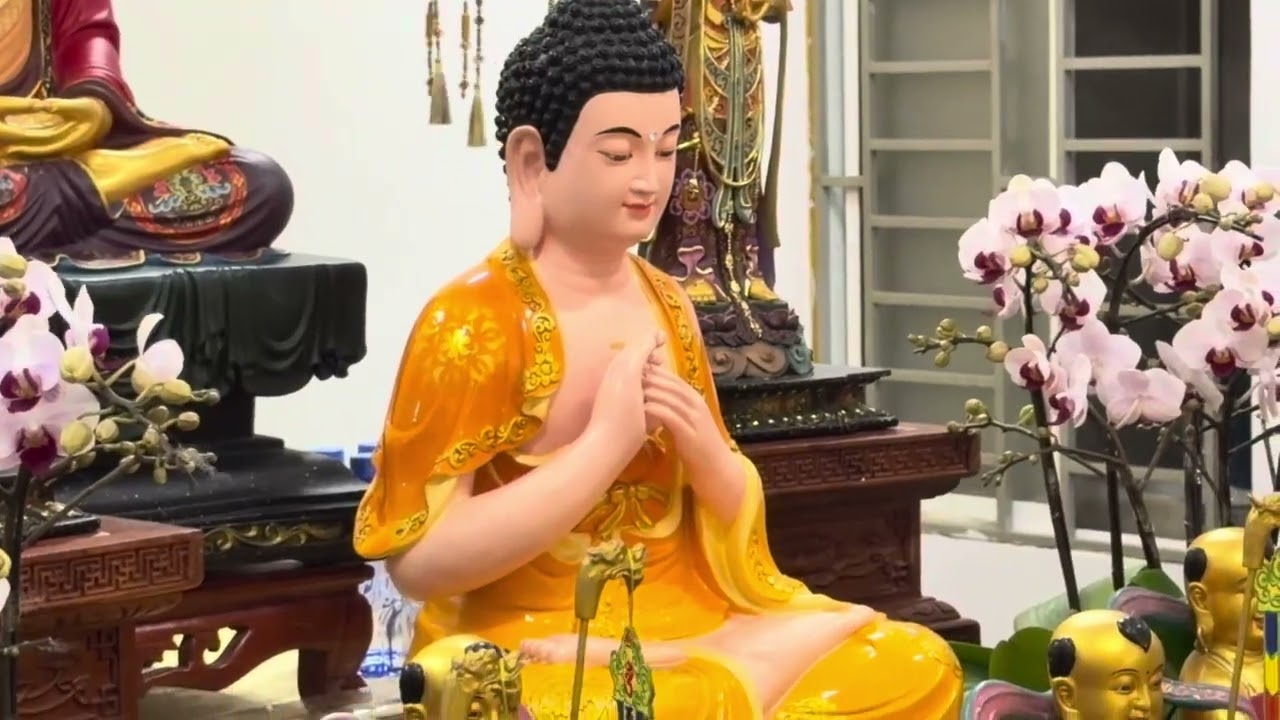 Ch&ugrave;a Đa Bảo - Trai đ&agrave;n chẩn tế 31.1.2026